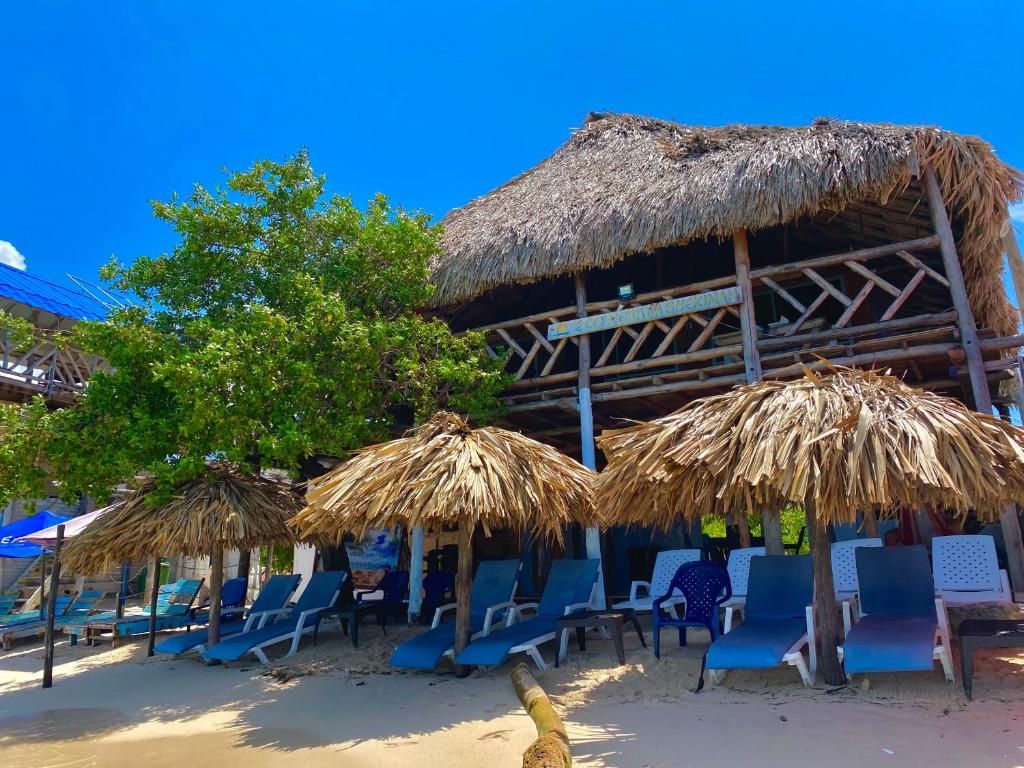 布兰卡滩Posada Shekinah Barú的海滩上的一组椅子和遮阳伞