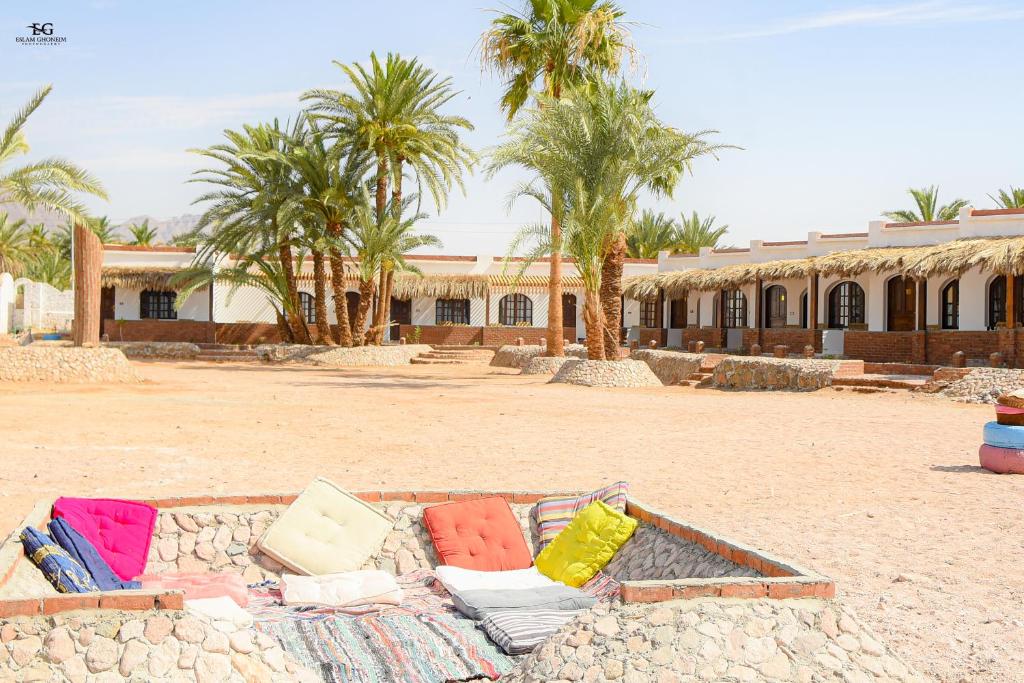 Nuweiba‘ el MuzeinahPalm Valley camp的坐在楼前的沙发