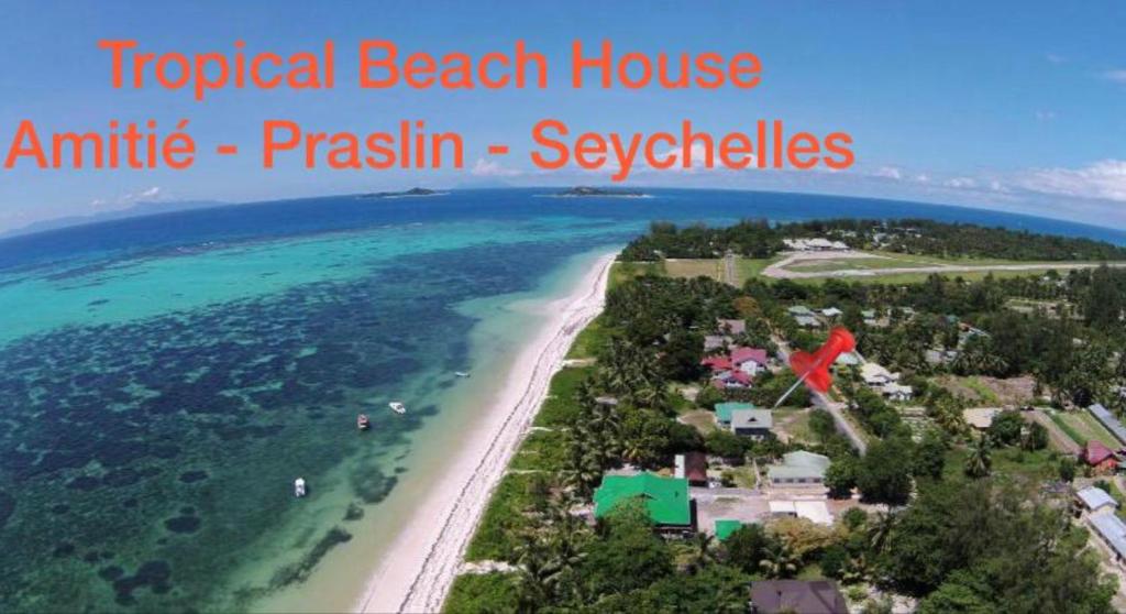 Tropical Beach House鸟瞰图