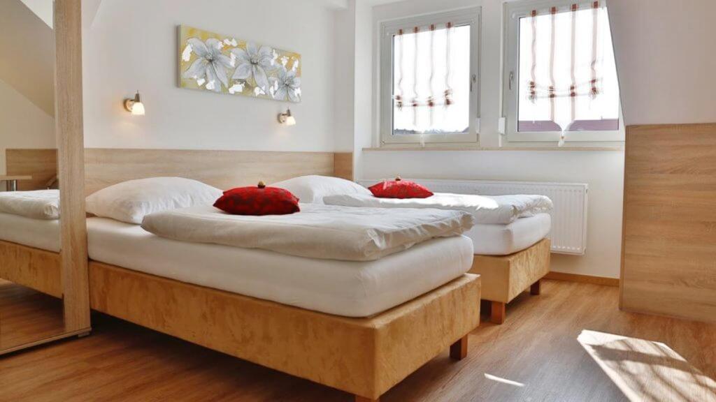 纽伦堡达斯福尔克公寓酒店的两张位于房间的床,上面有两个红色枕头