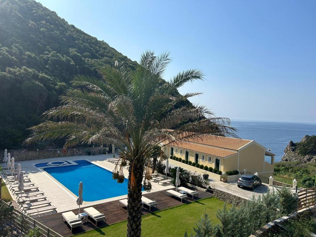 帕莱欧卡斯提撒Corfu valley view的棕榈树和游泳池的房子