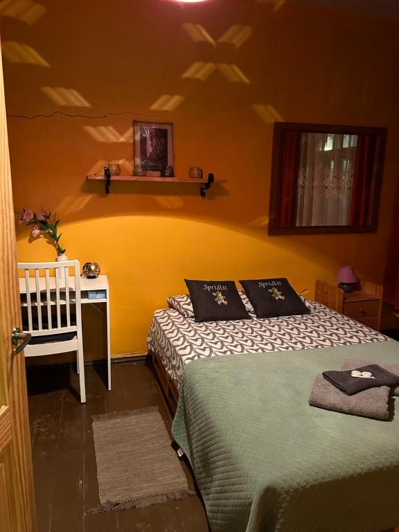 Lauku māja Sprīdīši的一间卧室配有一张床和一张书桌,配有一张四柱床