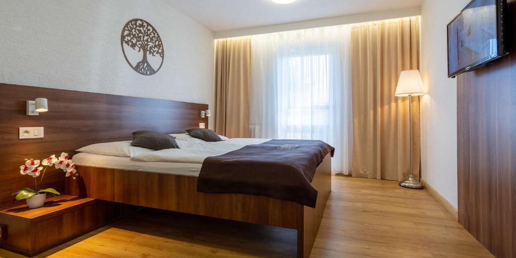 布拉迪斯拉发WX Hotel的一间卧室配有一张大床和电视