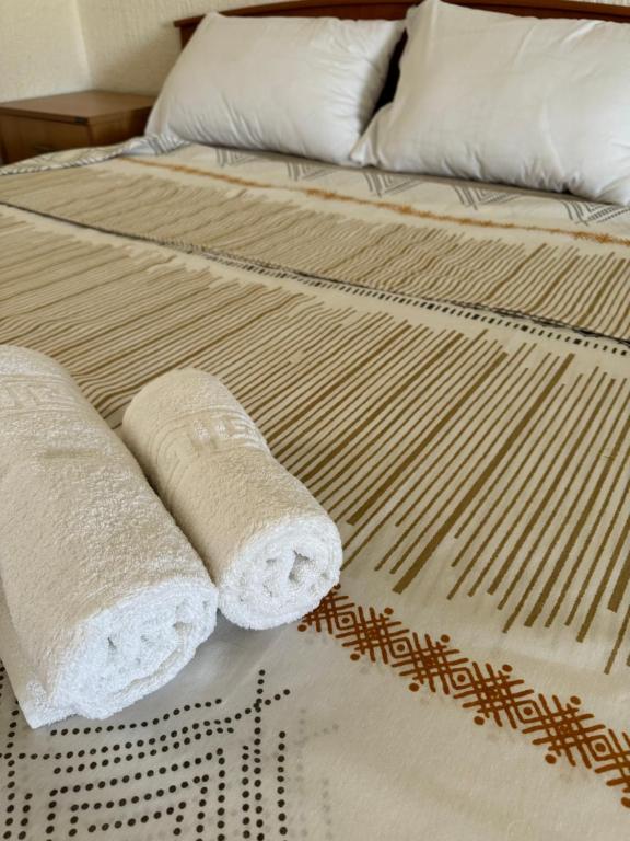 波德戈里察Apartments Airport Golubovci的床上有两条毛巾