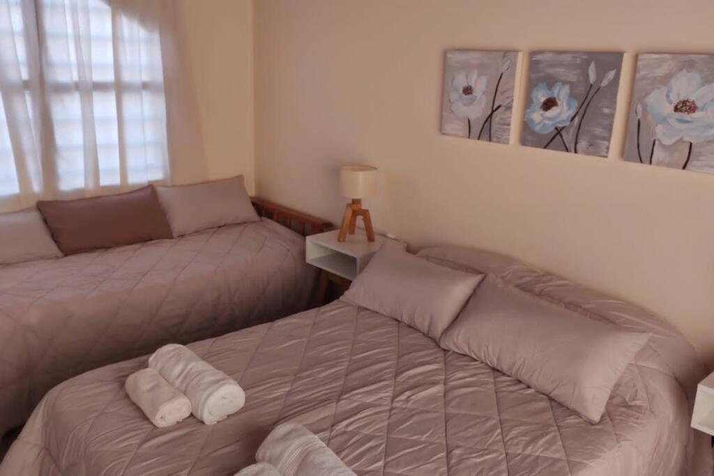 瓜伊马延Departamento en Mendoza的一间卧室配有两张床和一张带枕头的床。
