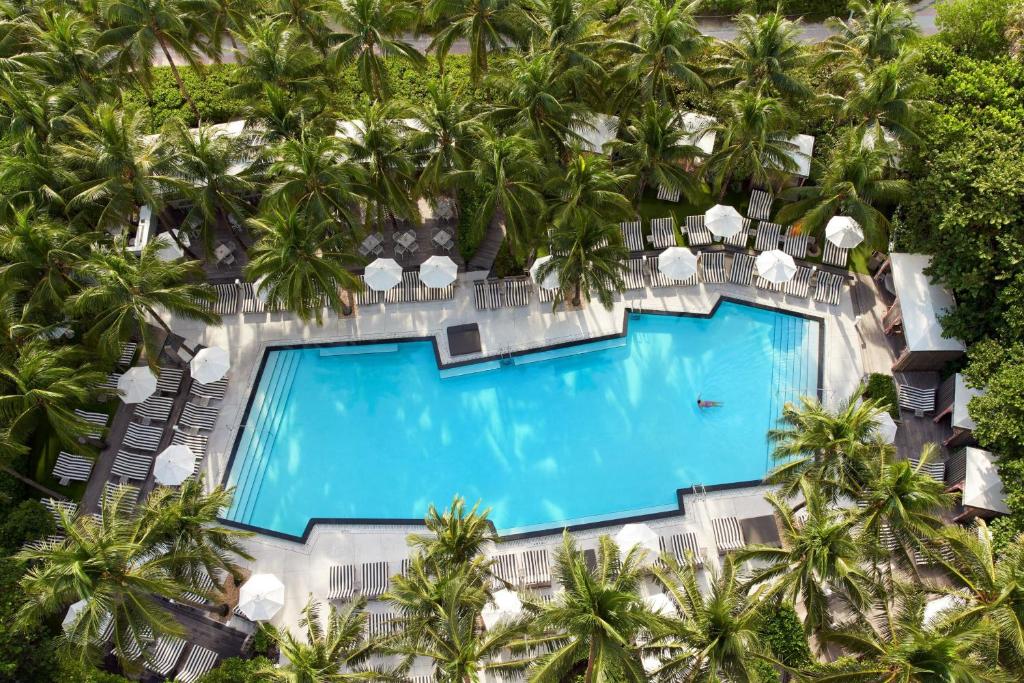 迈阿密海滩南海滩W度假村的棕榈树度假村泳池的空中景致