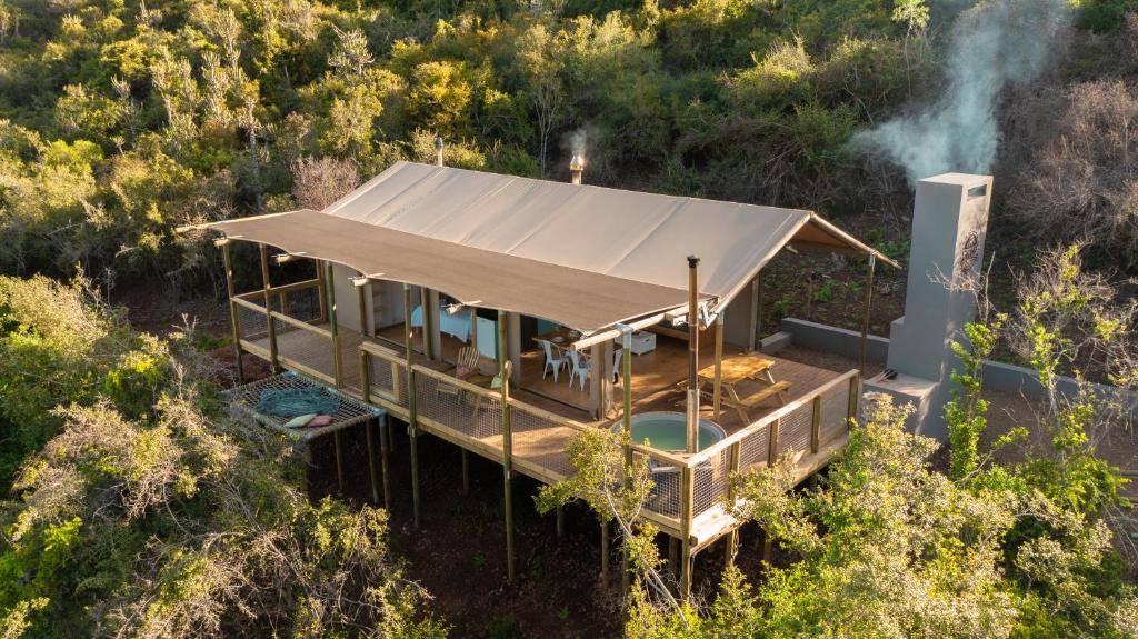 SwanepoelskraalAfriCamps Addo的森林中房屋的空中景观