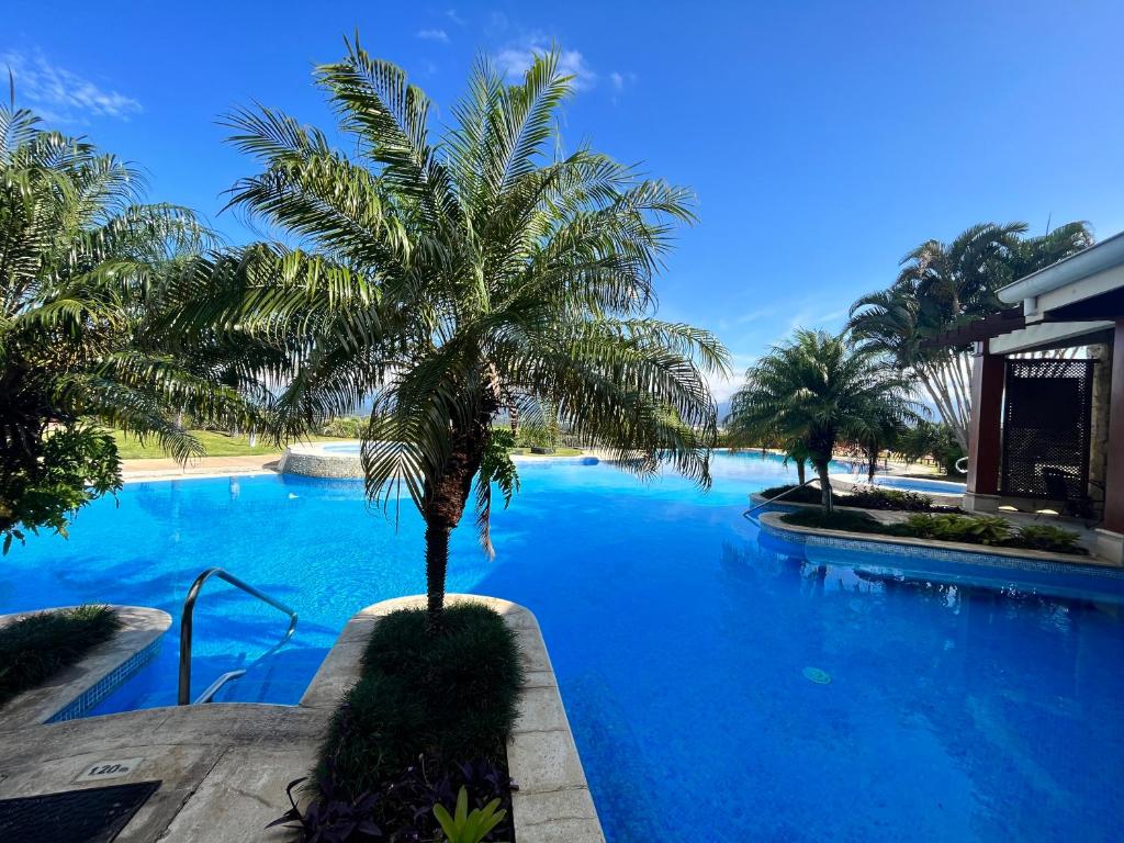 圣安娜CR MARIPOSA RENTALS Cozy Retreat with Pool,Tennis,Gym,Free WiFi的游泳池中间的棕榈树