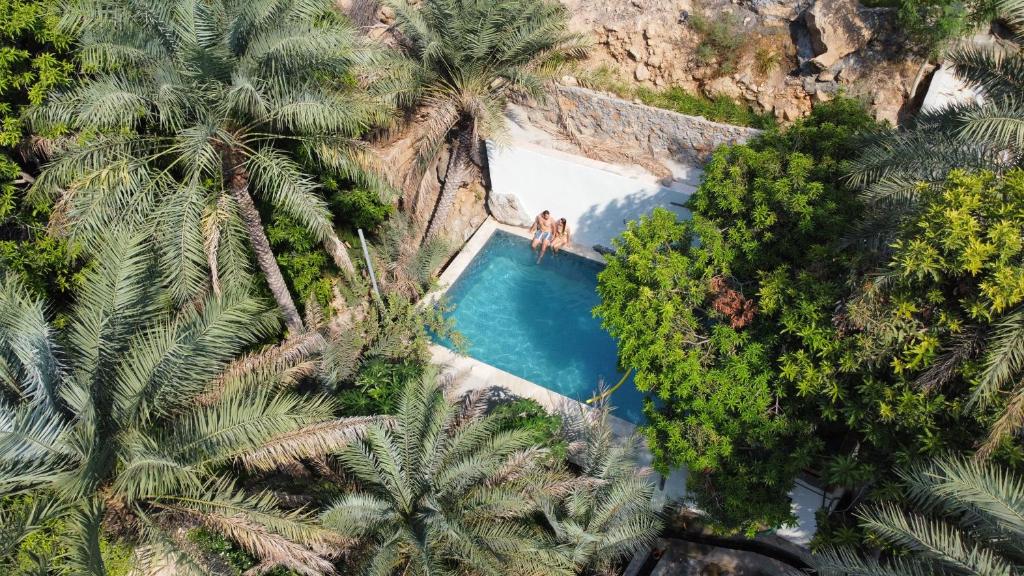 Ḩillat al ḨişnNomad inn Tiwi的棕榈树游泳池的空中景致