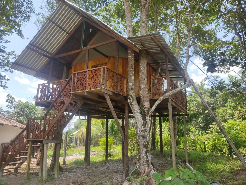 莱蒂西亚Hotel Karupa Amazonas的森林中树屋的树屋