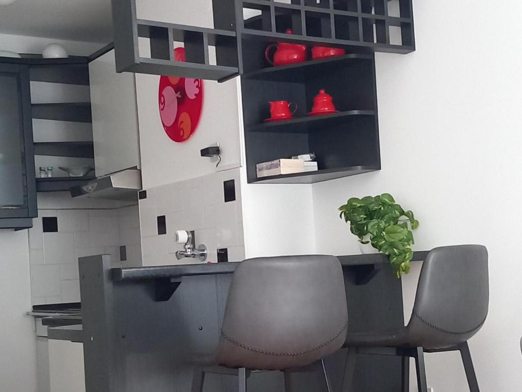 奥西耶克Apartman MINNA2, free parking的厨房配有两把椅子和一张桌子及植物