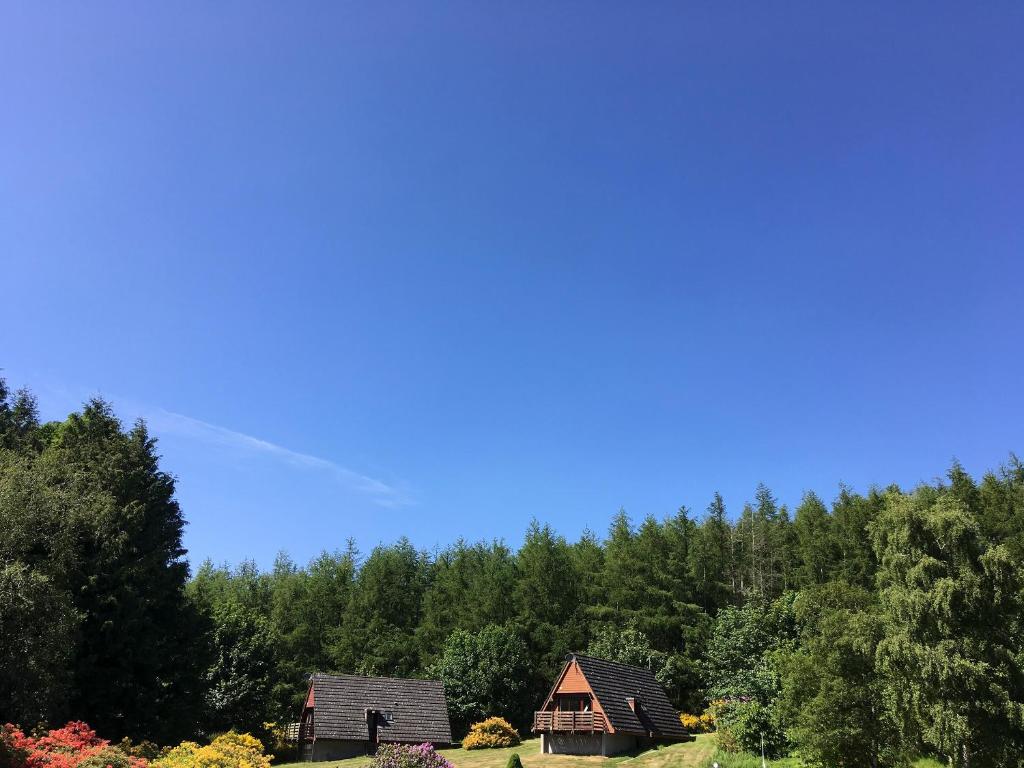 GlenurguhartThistle Lodge - Uk7051的两座房子,位于一座小山上,有树木