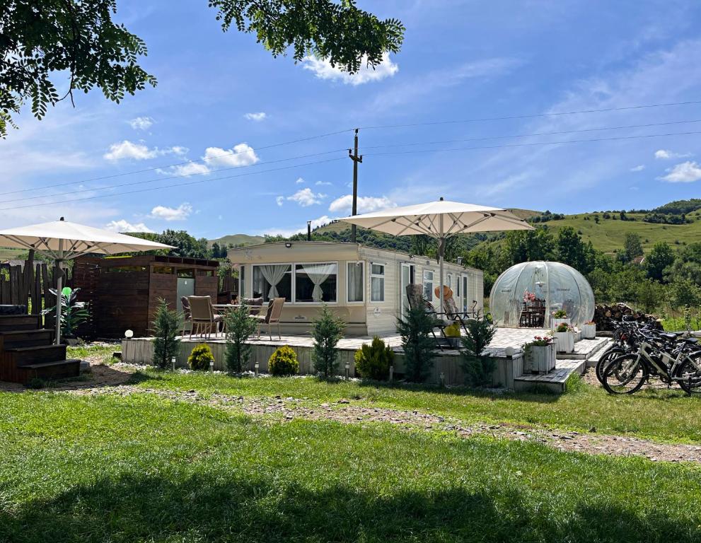 克卢日-纳波卡Kinder Valley Morlaca Cluj的前面有雨伞和摩托车的房子
