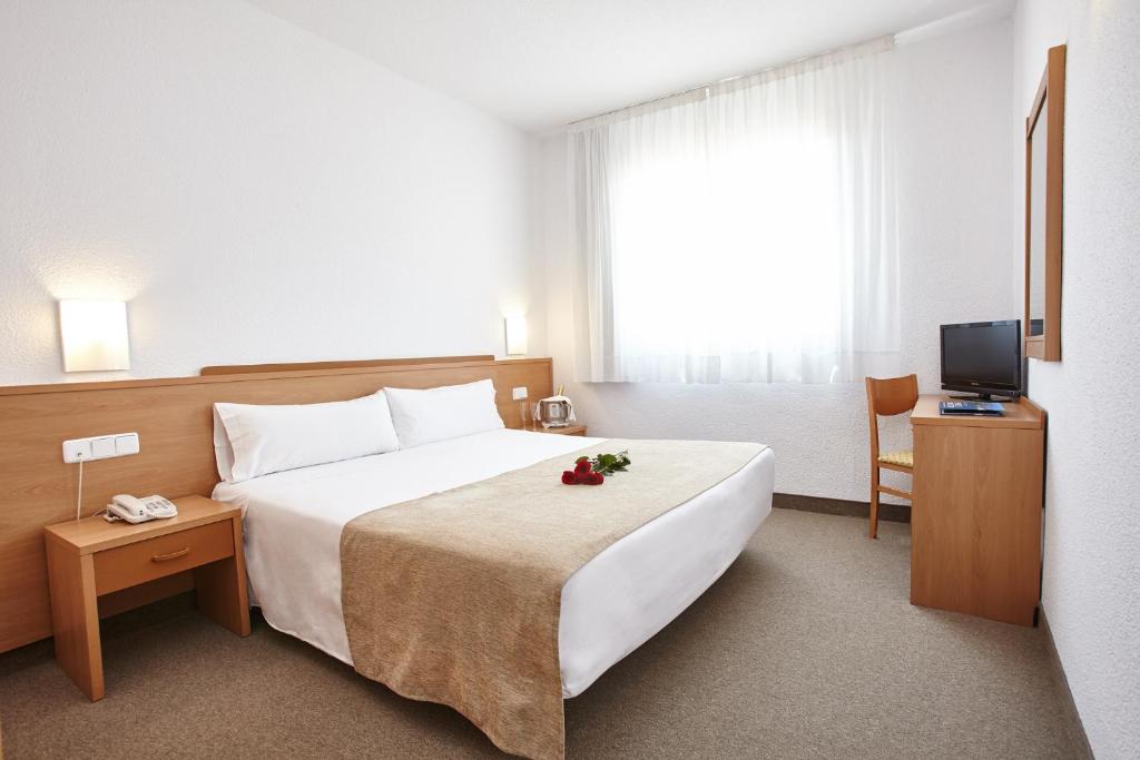 阿姆泼斯塔Hotel Montsia的酒店客房设有一张大床和一台电视。