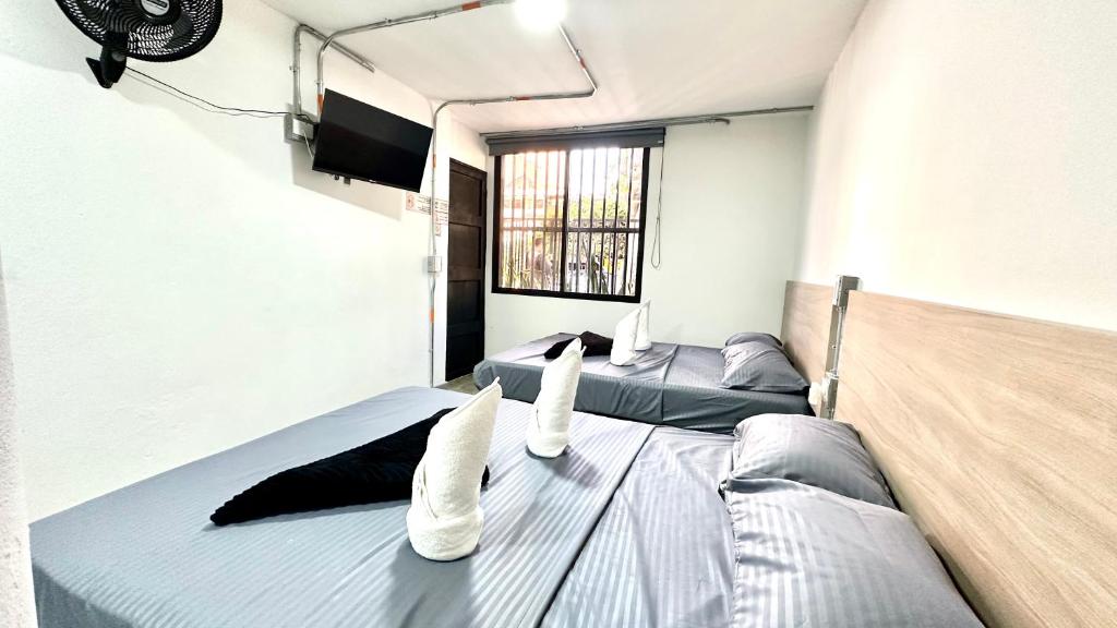麦德林SINU LOFT的一间卧室配有两张床和一台平面电视