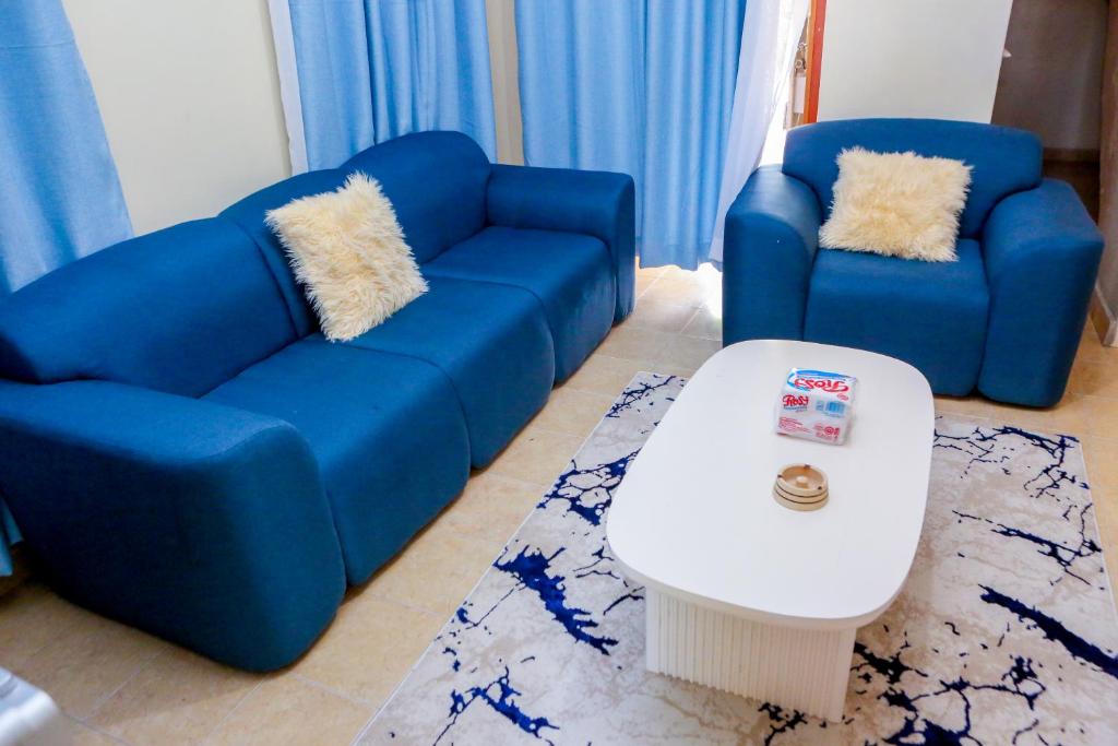 基苏木SYLVIA'S LUXURIOUS APARTMENT的客厅配有2张蓝色沙发和1张咖啡桌