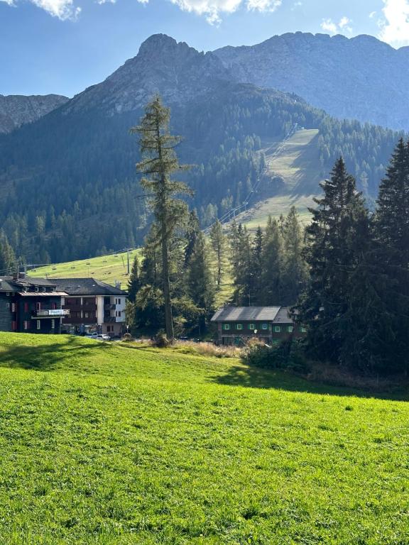 卡雷扎湖COSTALUNGAHOUSE TrekkingBikeSki selfcheck-in apartment的一片绿地,背靠房屋和山脉