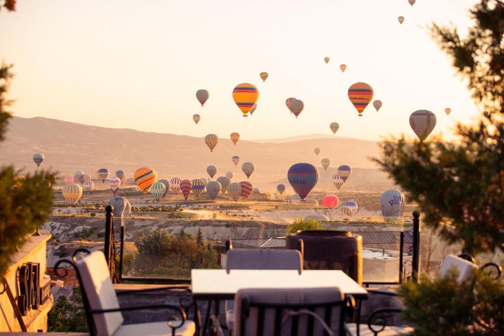 乌奇希萨尔Cappadocia Fairy Chimneys Selfie Cave Hotels - Special Class的空中飞着的热气球