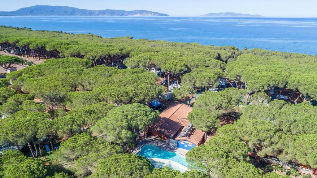 阿尔比尼娅Gitavillage Il Gabbiano的享有带游泳池和树木的度假村的空中景致