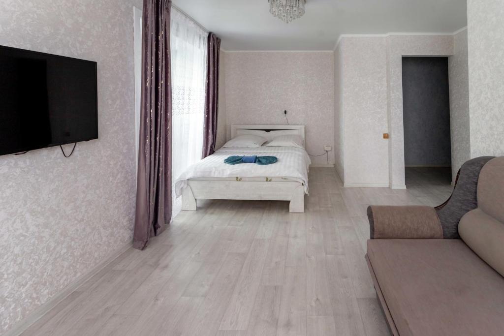 彼得罗巴甫洛夫斯克Альпина的一间卧室配有一张床、一台电视和一张沙发
