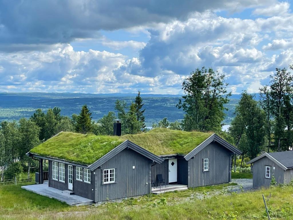 GolsfjelletBergestua - 4 bedroom cabin的草屋顶的房屋
