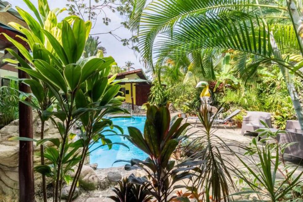 卡维塔Casa Caribbean Coconut的一个带游泳池和一些植物的度假胜地
