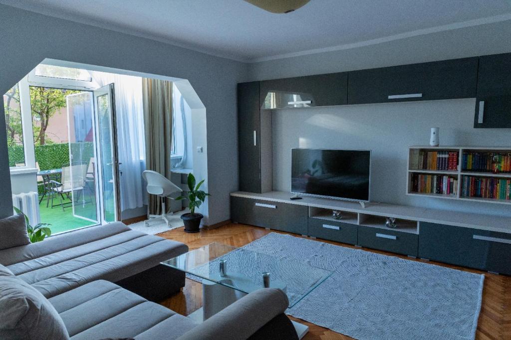 蒂米什瓦拉Lara's Residence的带沙发和电视的客厅