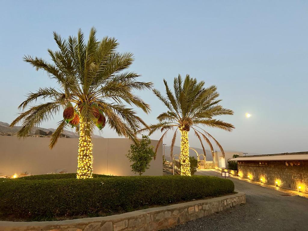 阿尔哈姆拉美景酒店的两棵棕榈树上灯火通明