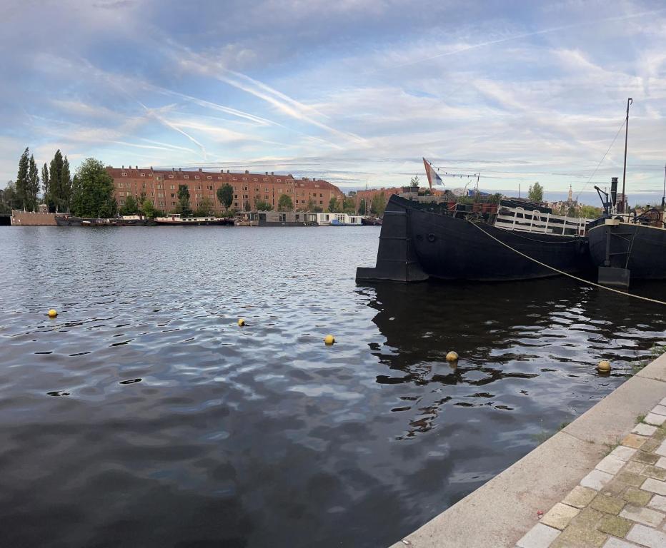 阿姆斯特丹Houseboat in Amsterdam的船停靠在水体中