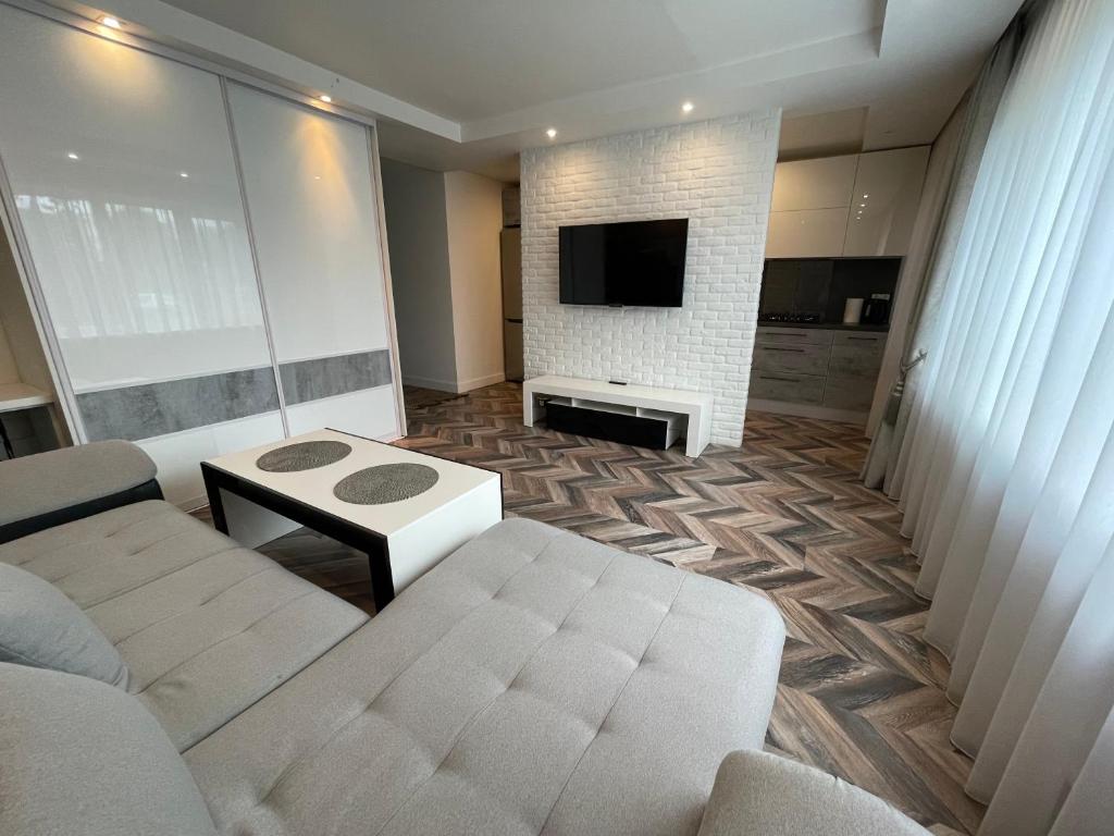陶格夫匹尔斯AIVI apartments的带沙发和电视的客厅
