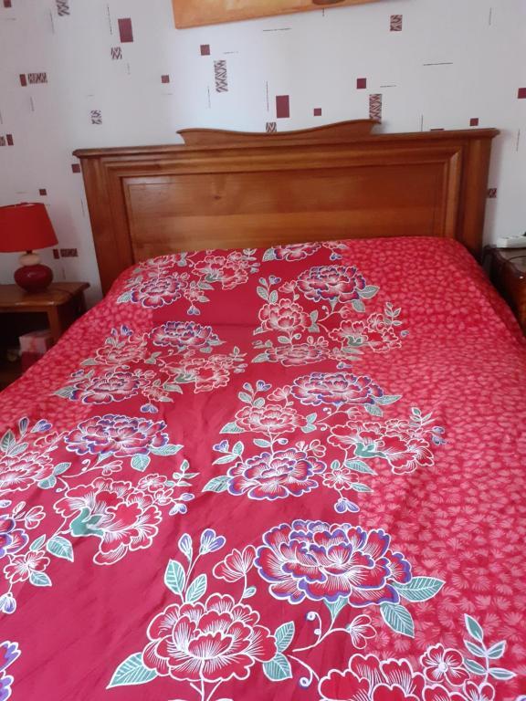 LiréLE PT PLESSIS的一张床上的红色床罩,上面有鲜花