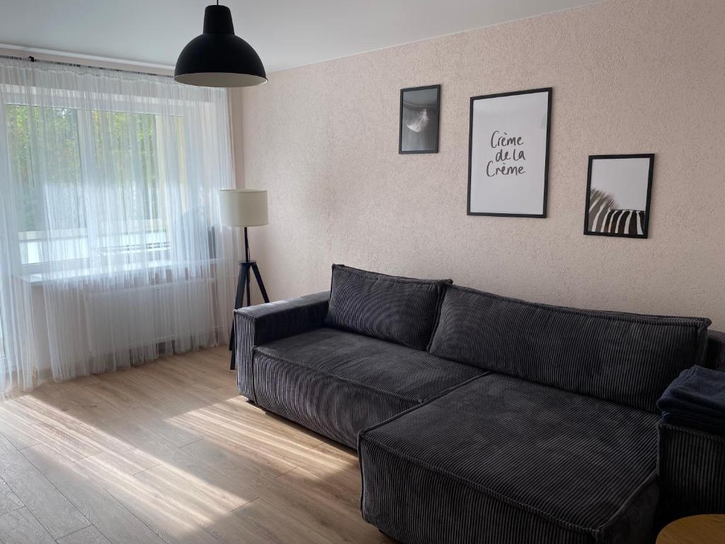 阿利图斯Cozy Two Room Apartment near city centre的客厅配有黑色沙发和窗户