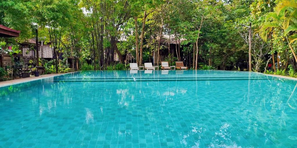 暹粒棕榈村Spa度假酒店的一个带椅子和树木的大型游泳池