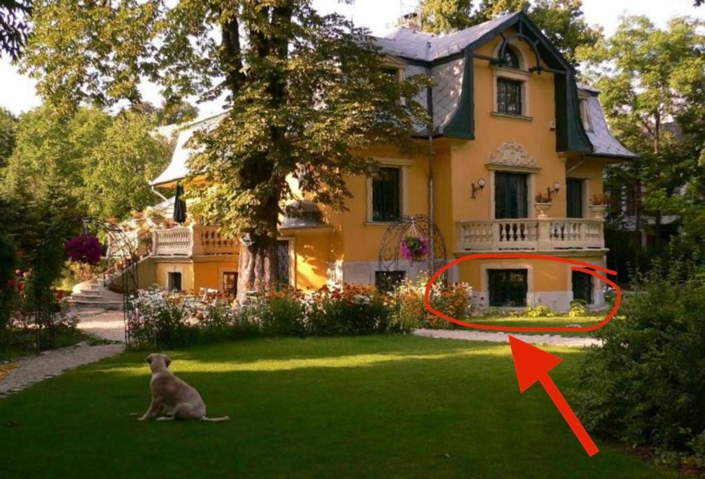 布达佩斯Buda Hills villa apartment的坐在房子前面的草地上的狗
