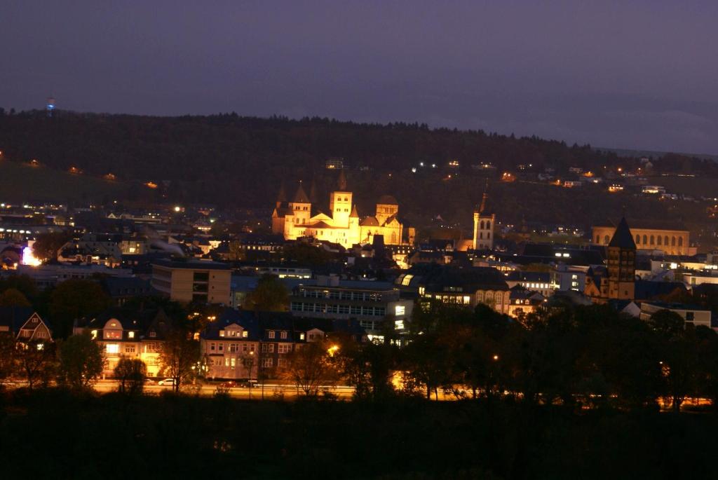 特里尔Logenplatz über Trier的夜晚带灯光的城市景观