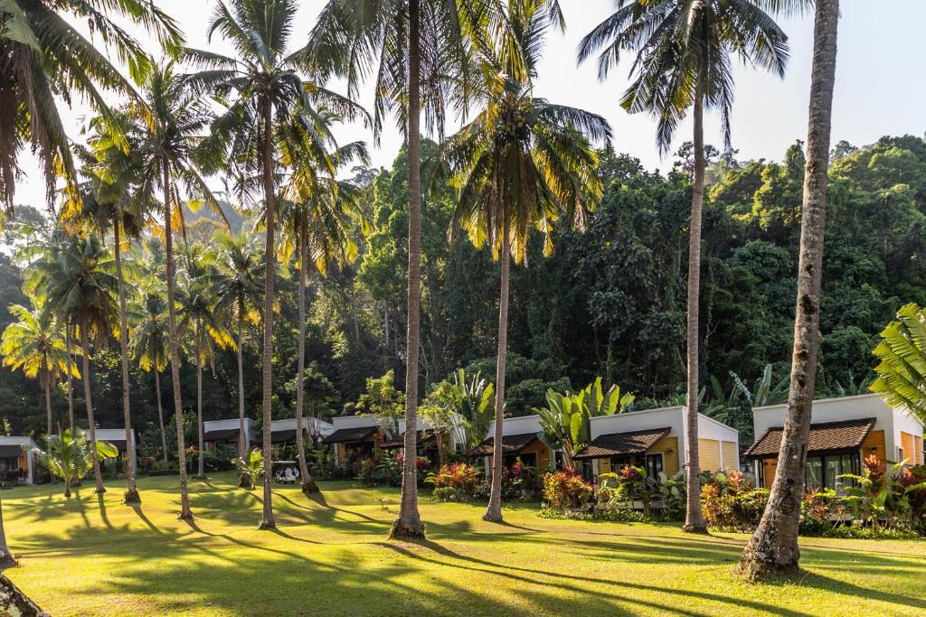 蔻立Phukhaolak Resort的度假村前一排棕榈树