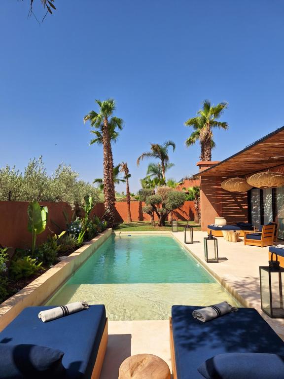 马拉喀什Villa M golf Amelkis à proximité的棕榈树后院的游泳池
