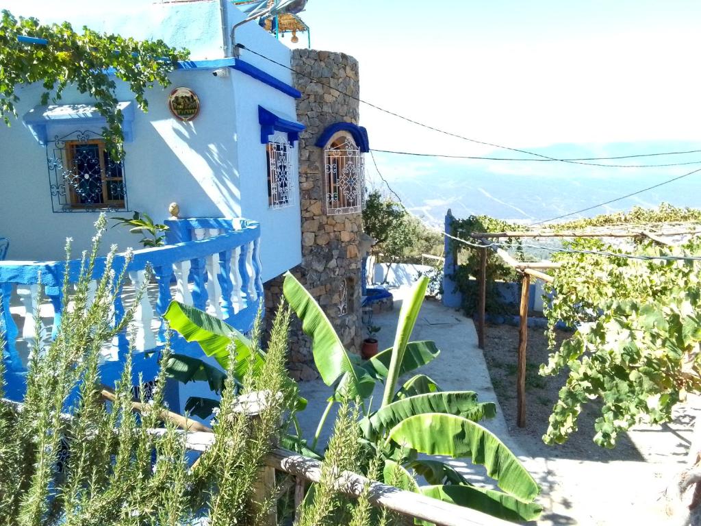 舍夫沙万Blue House Town的蓝色房子,带栅栏和植物