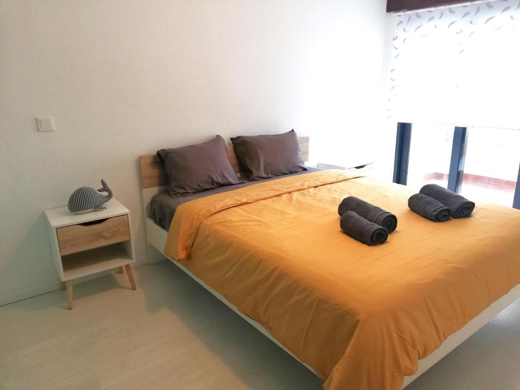 菲盖拉-达福什Buarcos&Sea Accommodation的一间卧室,配有一张带两个袋子的床