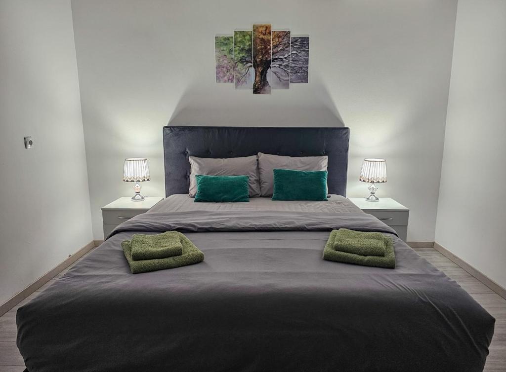 SurčinSLEEP & GO的一间卧室配有一张大床和两个绿色枕头
