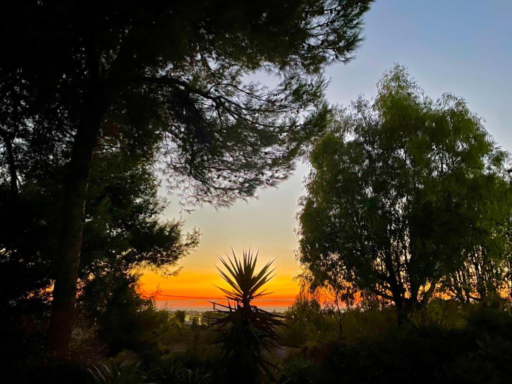 马尔萨拉Giardinello Stagnone Sunset的海面上的日落,在前庭上种有树木
