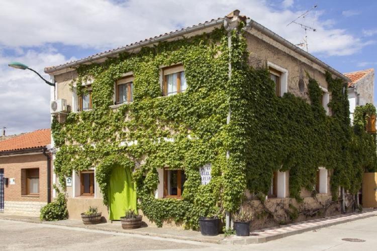 CadreitaCasa rural de la Abuela的街道上被绿色常春藤覆盖的建筑
