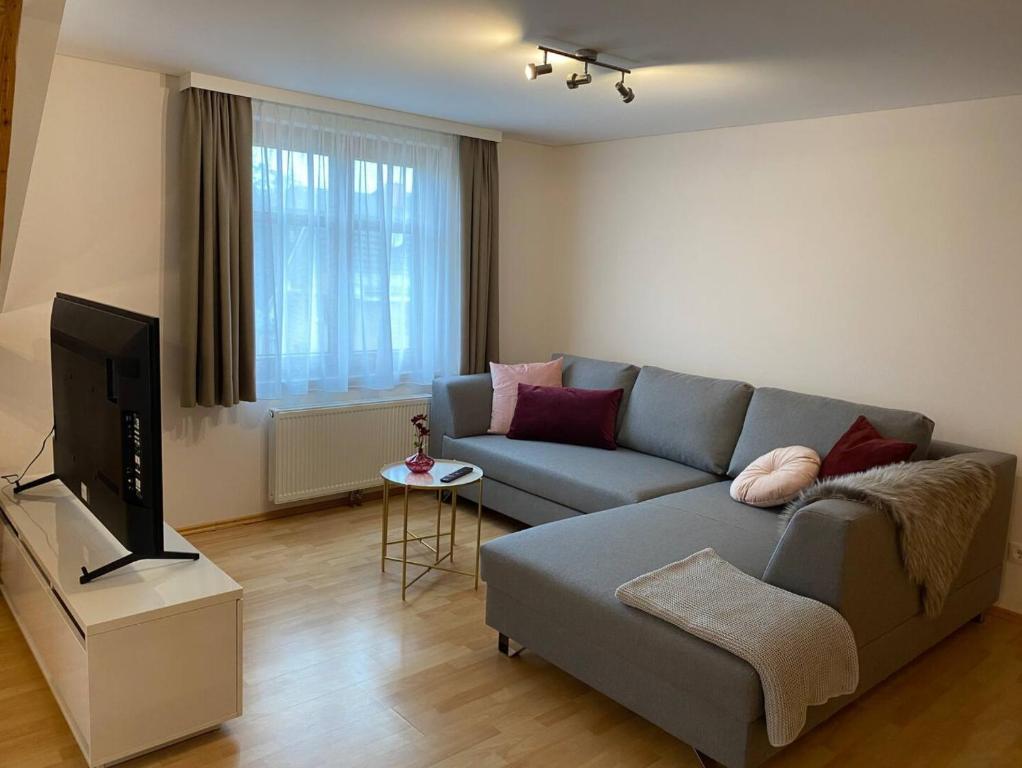 GaißauBodensee Wohnung 3 mit Privatstrand的带沙发和电视的客厅