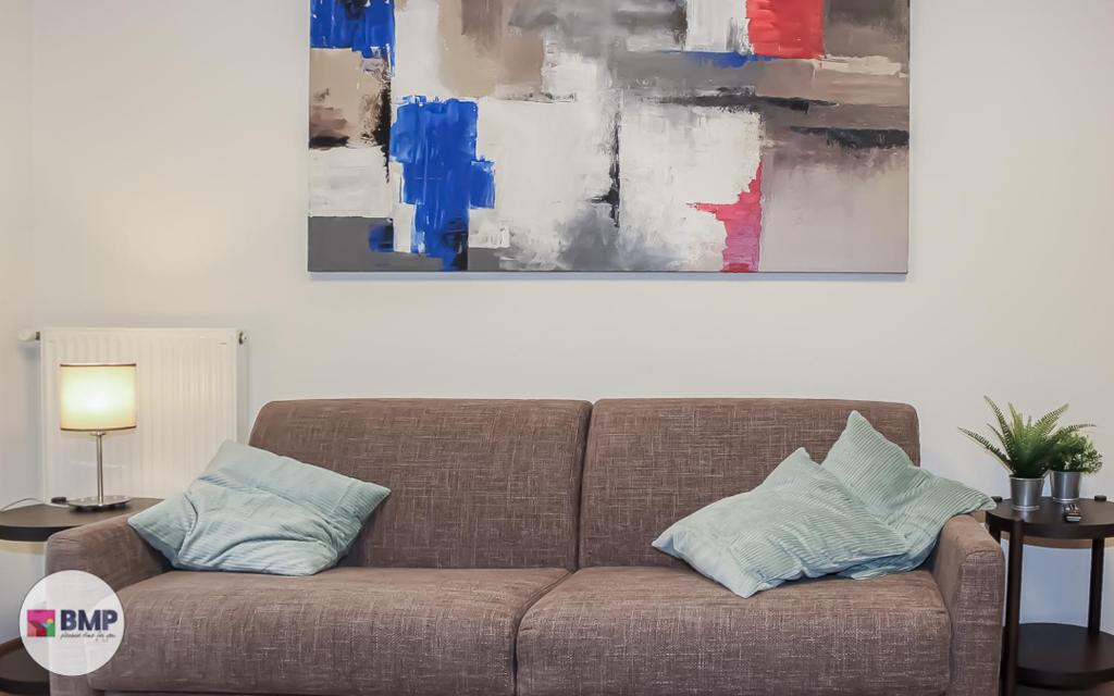 莫尔韦诺Bmp apartment Molveno Relax的客厅配有一张带两个枕头的沙发,客厅配有绘画作品