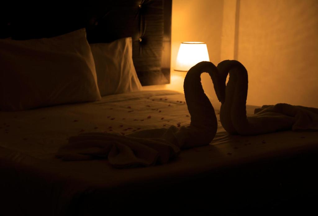 TaiyibaPlaza View Hostel的两个天鹅躺在黑暗的房间里的床上