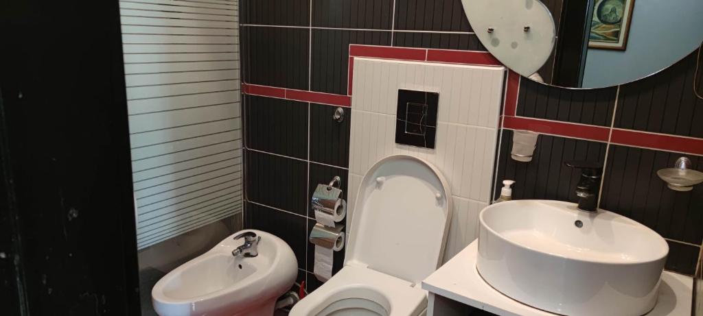 尼什TopRoom的一间带卫生间和水槽的浴室