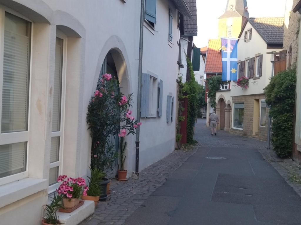 代德斯海姆Ferienhäuschen am Heumarkt的镇上的一条小巷,在建筑中种满鲜花