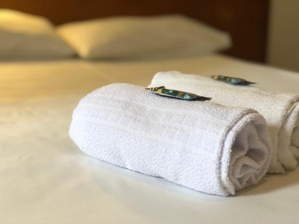 伊达贾伊Hotel Graju Itajaí的几条毛巾坐在床上