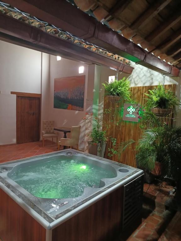 蒙波斯Hotel Boutique Casa Gerar的植物间里的一个大型热水浴缸