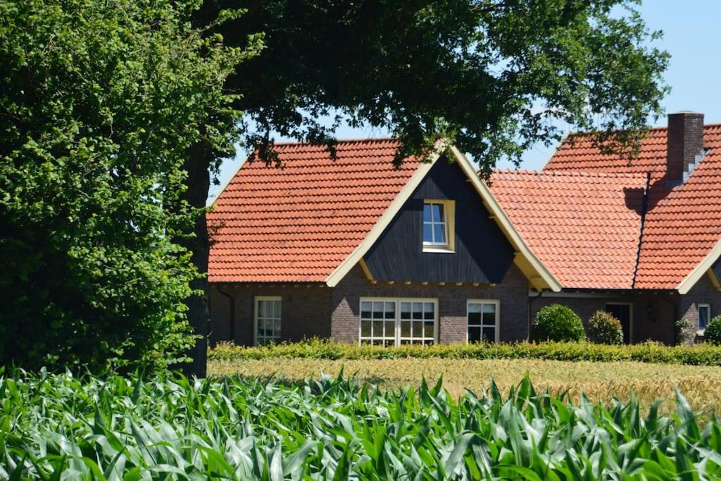 Ambt DeldenVakantiehuisje de Wender的一座有红色屋顶和植物的房屋